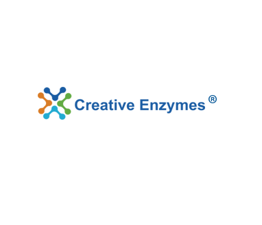 Unlocking the Potential of α-Galactosidase